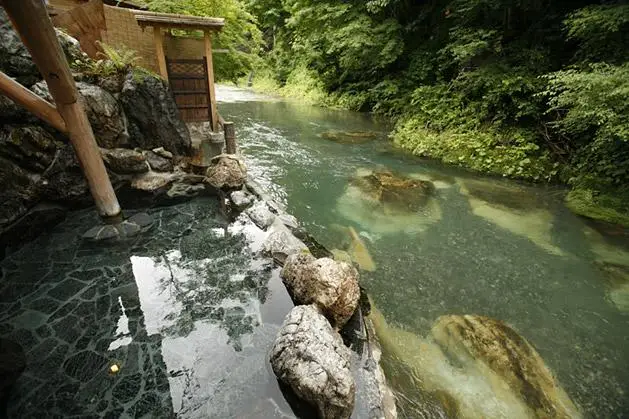 Honke Bankyu Ryokan 