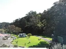 Whitianga Campground 