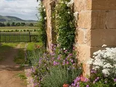 Daisy Bank Cottages 