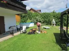 Pension Sonnleit'n - Urlaub mit Hund 