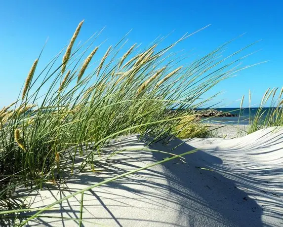 Hotel Max am Meer Kuhlungsborn 