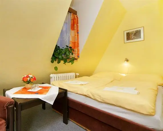 Hotel Stary Mlyn