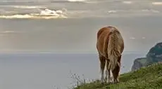 La Colina Gijon 