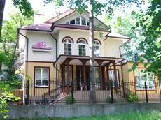 Flamingo Guest House Svetlogorsk 