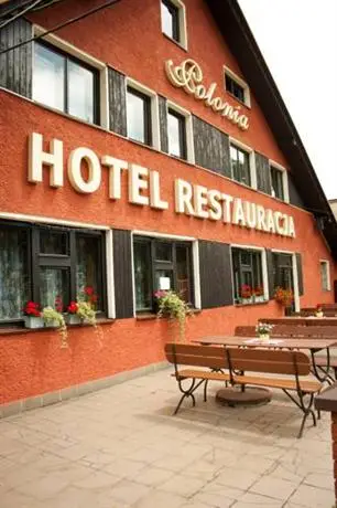 Hotel Polonia Wisla