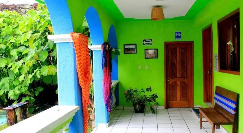 Iguana Hostel 