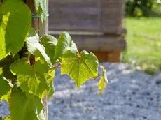 Agriturismo L'Acero Rosso 