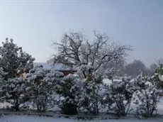 Agriturismo L'Acero Rosso 