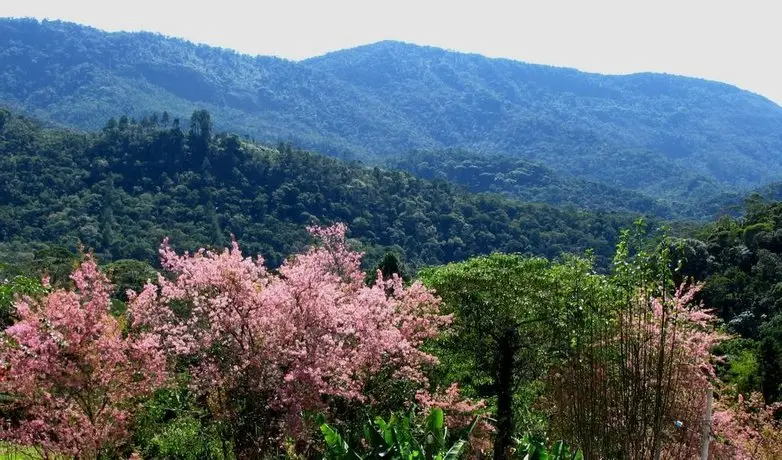 Pousada das Andorinhas 