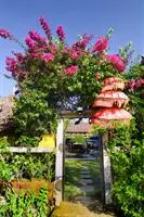 Balangan Sea View Bungalow 