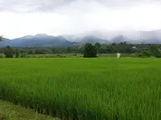 Pura Vida Pai Resort 