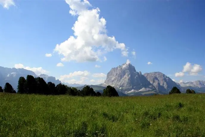 Hotel La Pineta Selva Di Val Gardena 