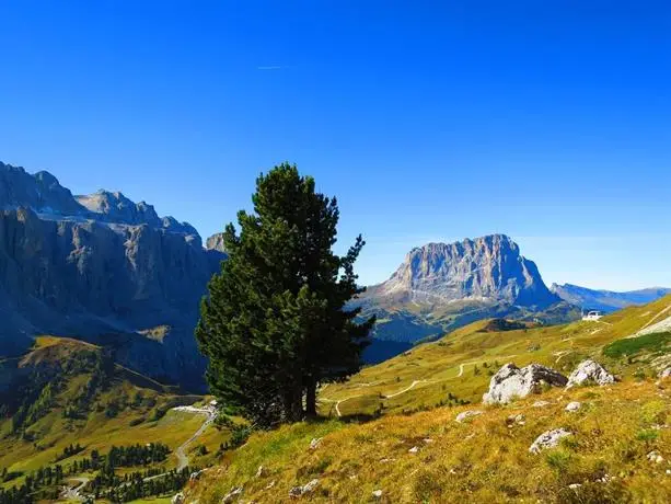 Hotel La Pineta Selva Di Val Gardena 