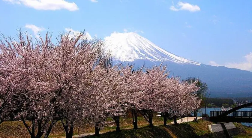 Guesthouse Sakuya 