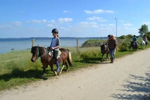 Strandhof Holnis