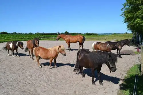 Strandhof Holnis 