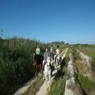 Finca Hotel Rural Predio Son Serra 