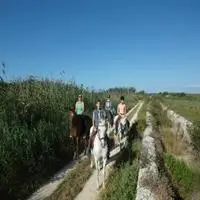 Finca Hotel Rural Predio Son Serra 