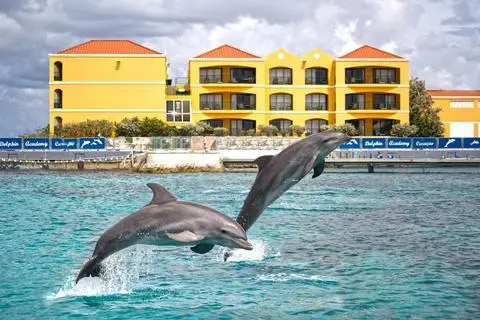 The Royal Sea Aquarium Resort