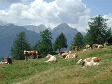 Stembergerhof - Urlaub am Bauerhof 