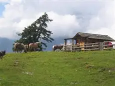 Stembergerhof - Urlaub am Bauerhof 