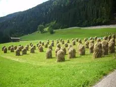 Stembergerhof - Urlaub am Bauerhof 