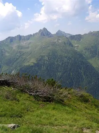 Stembergerhof - Urlaub am Bauerhof 