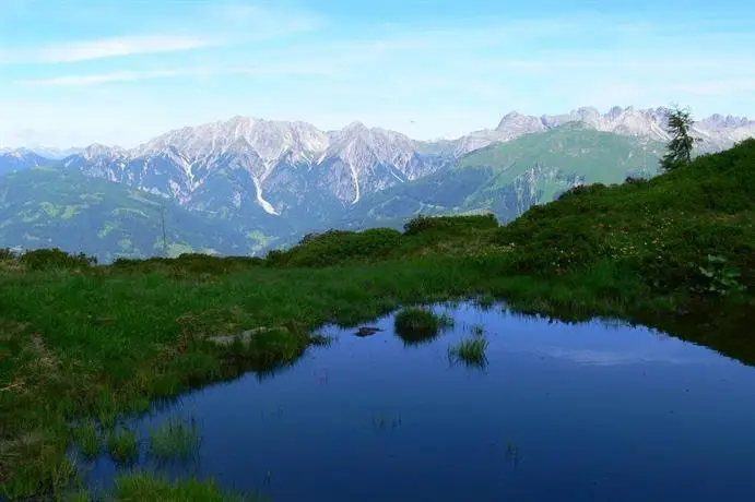 Stembergerhof - Urlaub am Bauerhof 