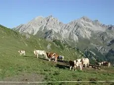 Stembergerhof - Urlaub am Bauerhof 