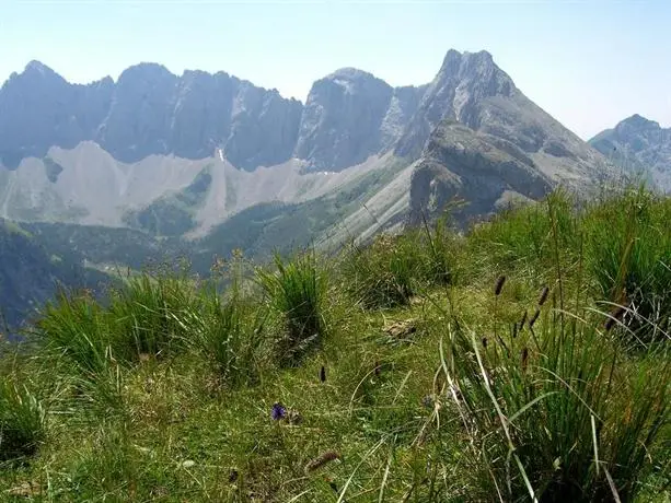 Stembergerhof - Urlaub am Bauerhof 