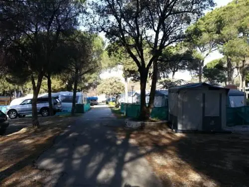 Camping La Buganvilla 