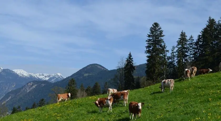 Ferienwohnung Eberharter 