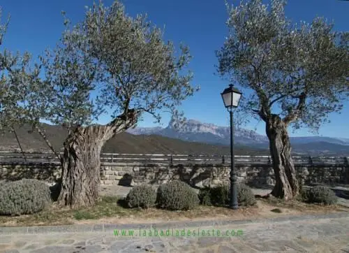 L'Abadia de Sieste 