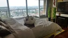 Penthouse Galare Thong Tower 