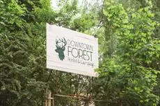 Downtown Forest Hostel & Camping 