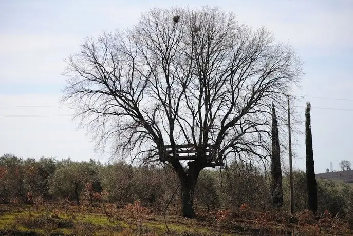 Agriturismo La Svolta 