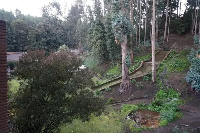 Hotel Bosque de Renaca 