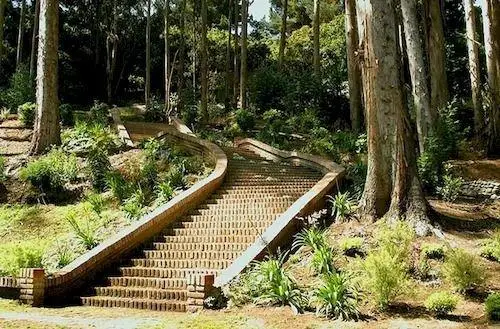 Hotel Bosque de Renaca 