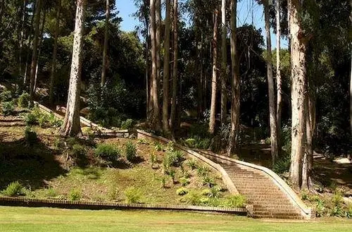 Hotel Bosque de Renaca 