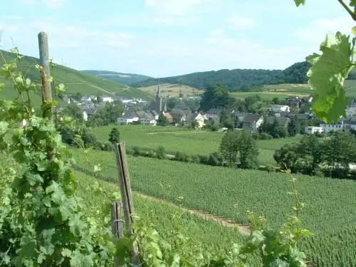 Weingut & Gastehaus Stephan Kohl 