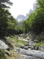 Tin House Patagonia 