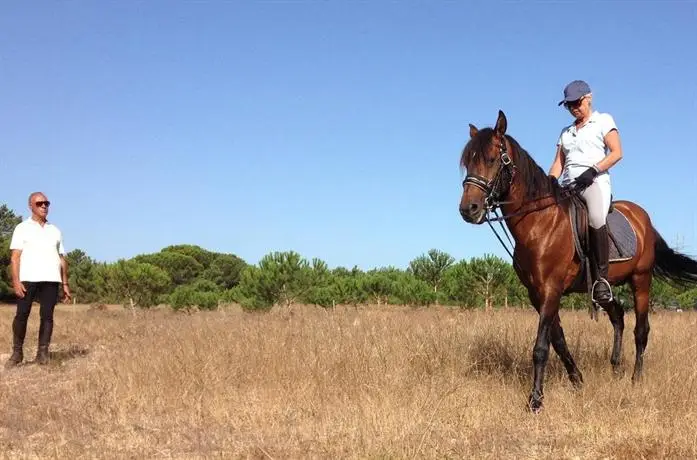 Herdade Do Freixial - Turismo Rural 