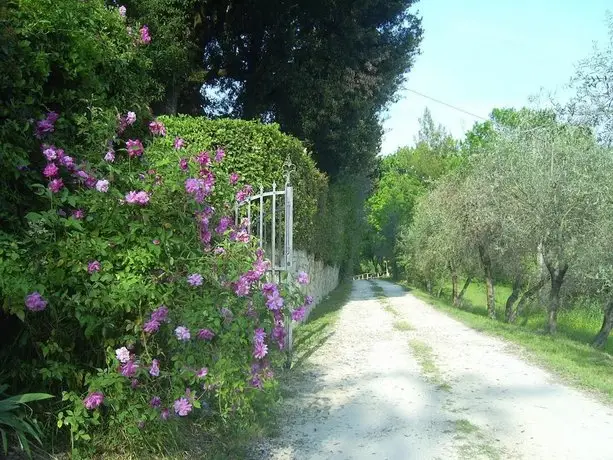 B&B Il Giglio Etrusco 