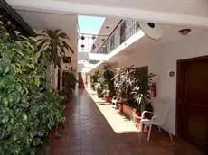 Cabo Cush Hotel 