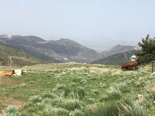 Inside Plaza Sierra Nevada 