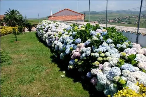 Vivienda Rural Las Candelas 