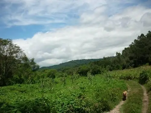 Finca La Colorada