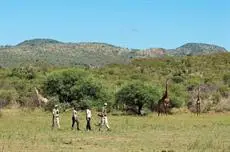 Madikwe Safari Lodge 