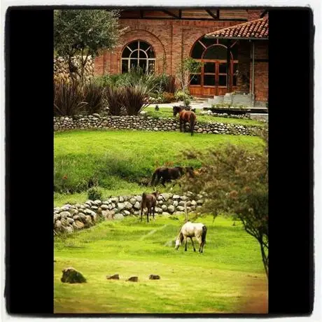 Hosteria Caballo Campana 