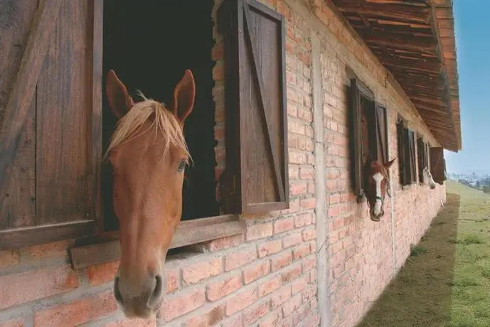 Hosteria Caballo Campana 